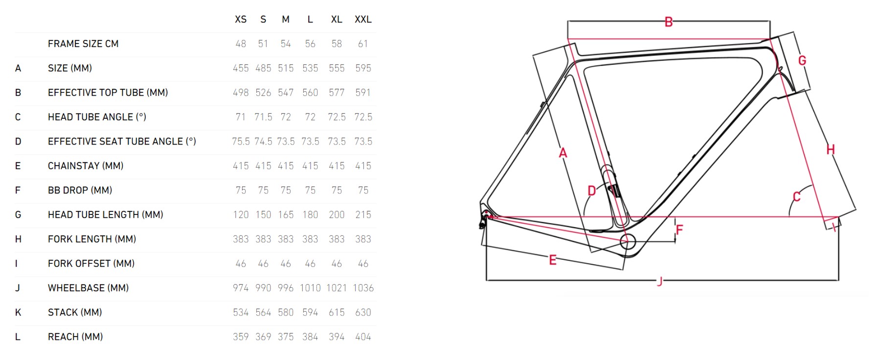 focus paralane price